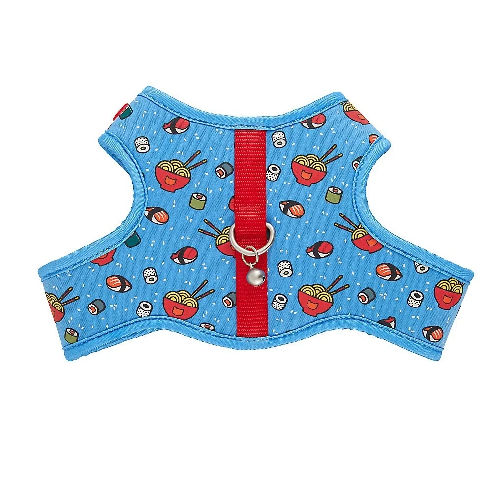 Kitten leash & harness